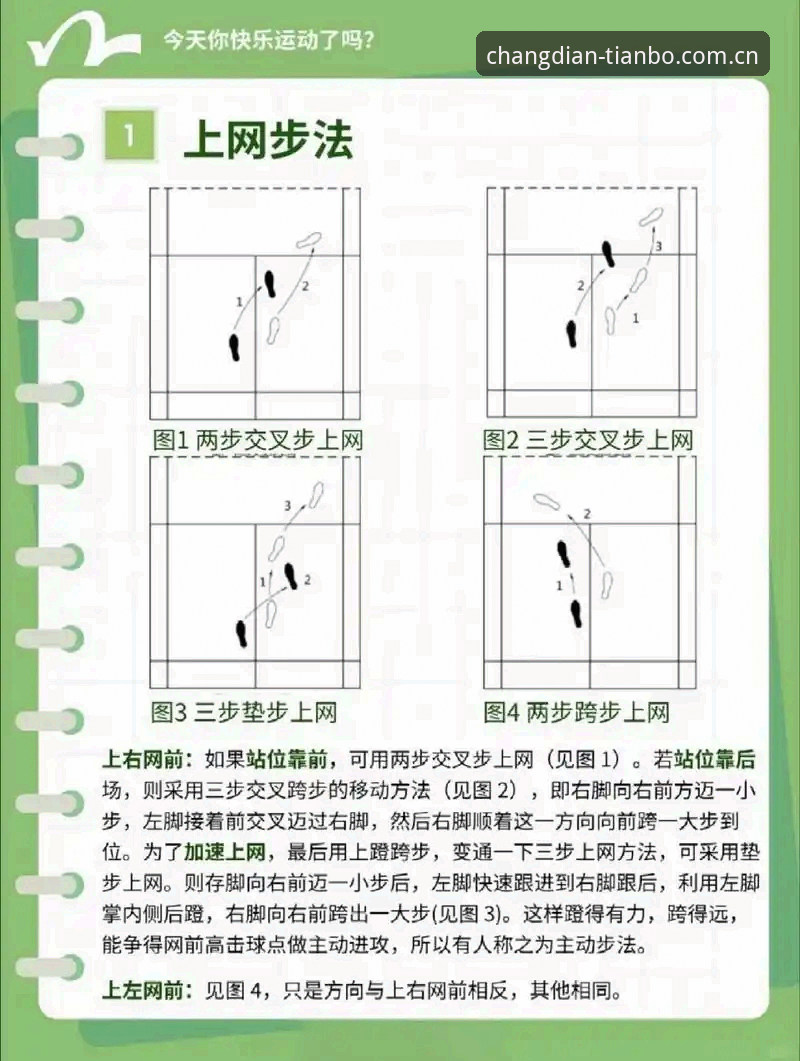 天博体育官网体育资讯实用技巧：从新手到老手的切换指南